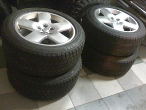 IMG_1236.jpg