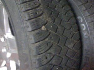 IMG_1238.jpg