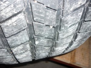 P1020161.jpg