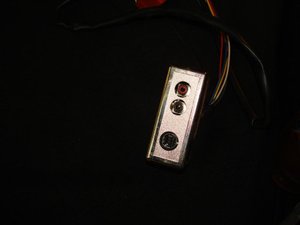 DSC07501.jpg