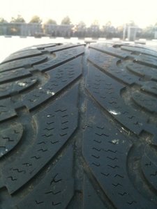 IMG_2976.jpg