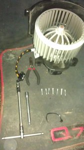 IMAG0055.jpg