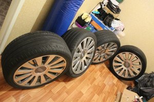 IMG_2498.jpg