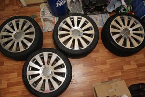 IMG_2515.jpg