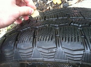 IMG_0585.jpg