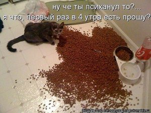 ауди.jpg