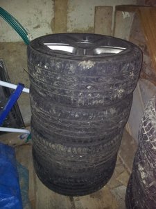 20121118_124534.jpg