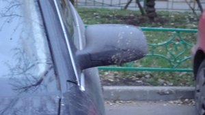 DSC02446.jpg