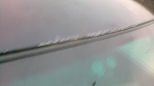 2012-11-20-0012.jpg