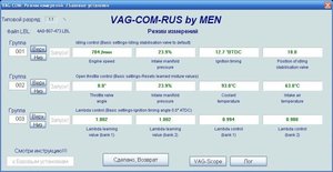 vag.JPG
