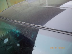 IMGP1117.jpg