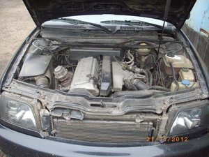 IMGP1130.jpg