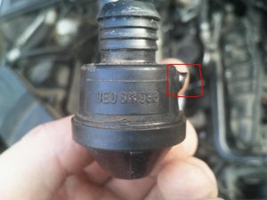 Копия Фото2497.jpg