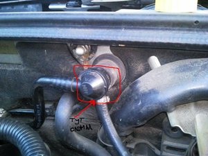 Копия Фото2500.jpg