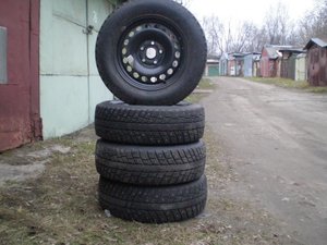 P1011630.jpg