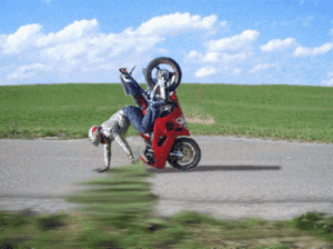 www_druzi_ru_669_0_20060423_3756.gif