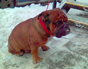 070215_131708+.jpg