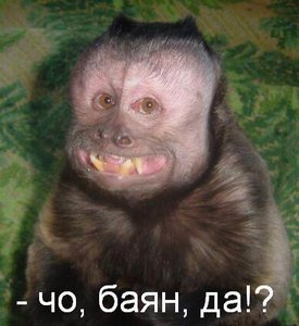 байан.jpg