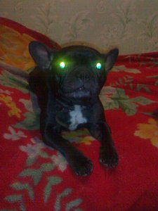 09012007078.jpg