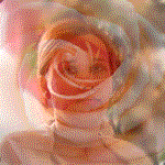 olena.gif