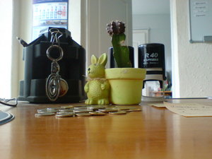 DSC00054.jpg