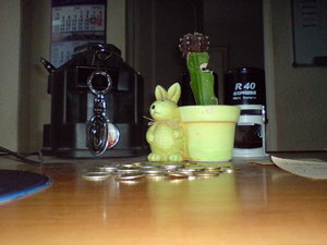 DSC00055.jpg
