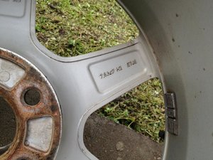 IMG_3269.jpg