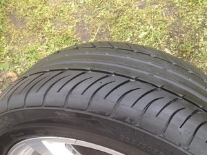 IMG_3262.jpg
