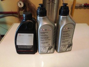 IMG_2265.jpg