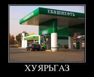 getImageCAAJ5YDV.jpg