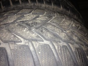 IMG_0071.jpg