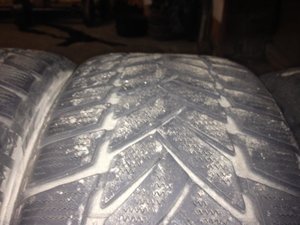 IMG_0072.jpg