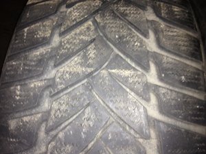 IMG_0073.jpg