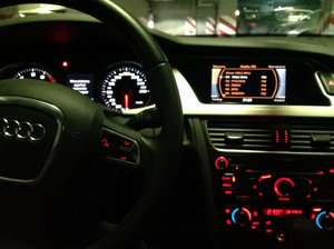 IMG_0334.jpg