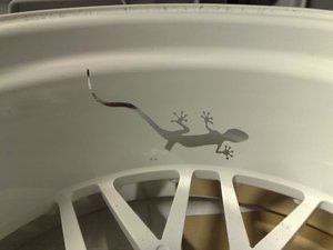 16042010494.jpg
