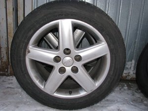IMG_9263.JPG