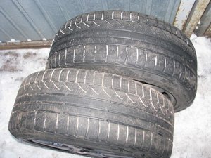 IMG_9266.jpg