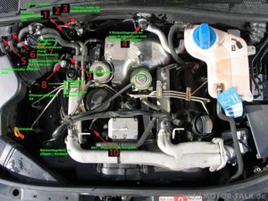 was-ist-was-430242375554688091.jpg