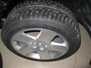 IMG_6448.jpg