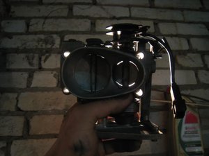 IMG_4254.jpg