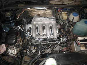 IMG_4255.jpg