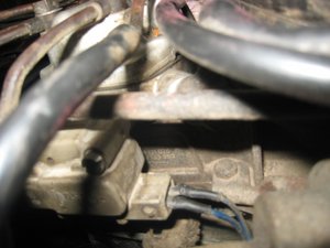 IMG_4258.jpg