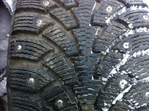 IMG_0251[1].jpg