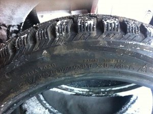 IMG_0252[1].jpg
