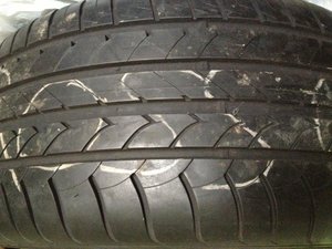 IMG_0230.jpg