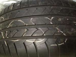 IMG_0229.jpg