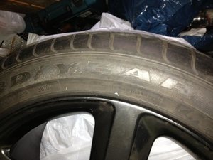 IMG_0231.jpg