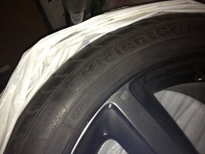 IMG_0233.jpg