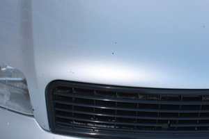 IMG_1826.jpg