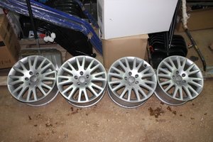 IMG_9990.JPG